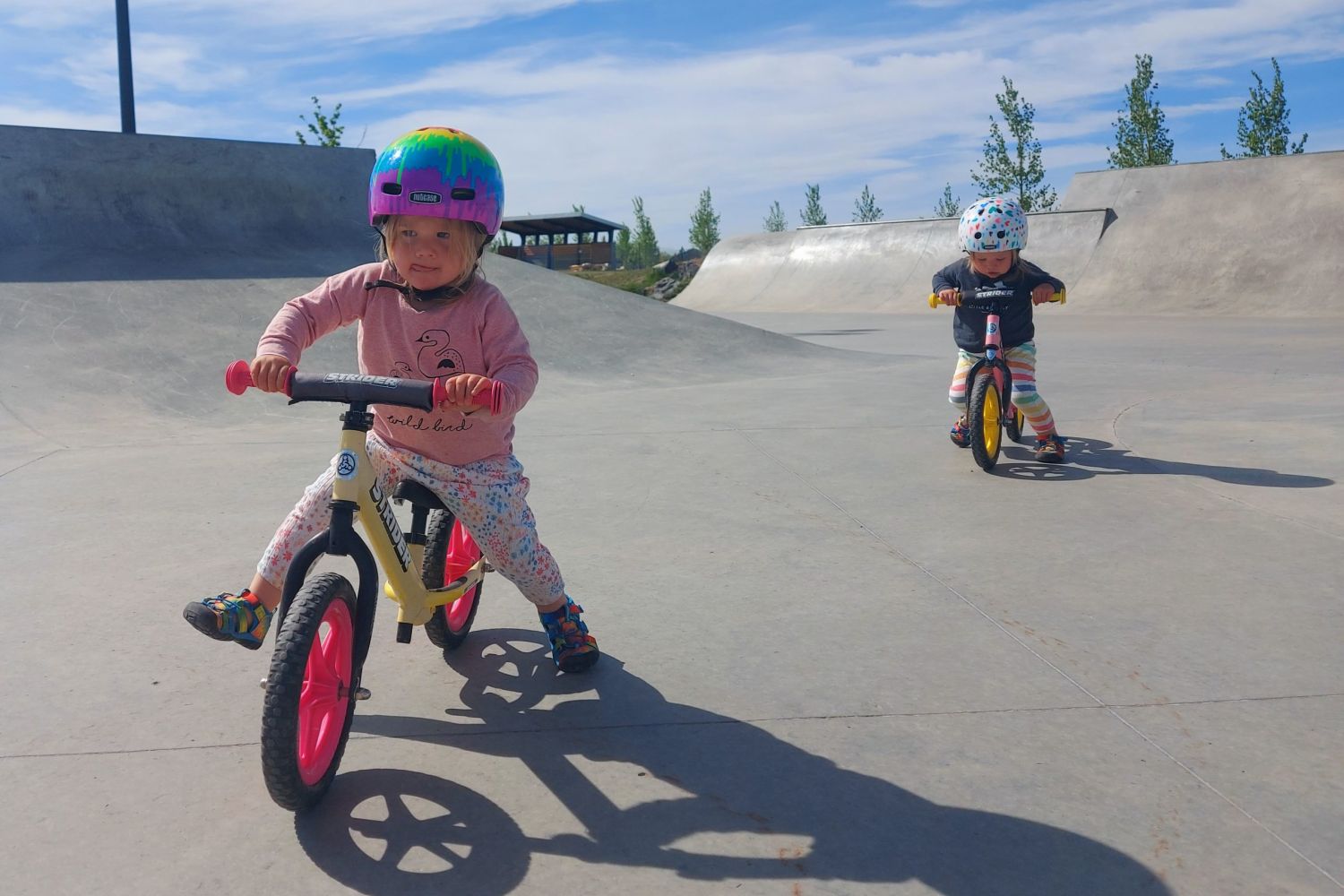 Two children ride and stride on Strider 12" Sport balance bikes