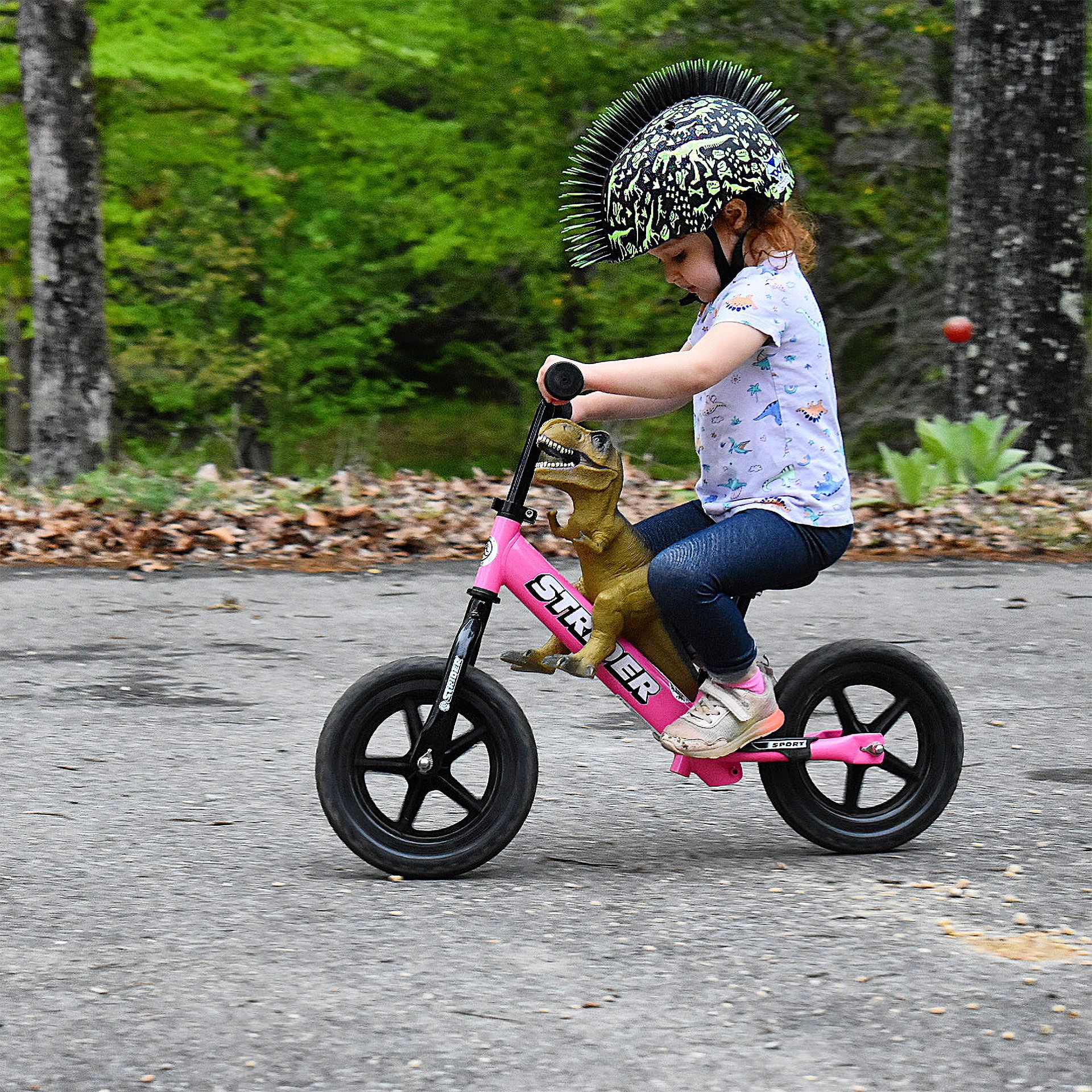 A girl and her toy dinosaur ride a pink Strider 12 Sport balance bike